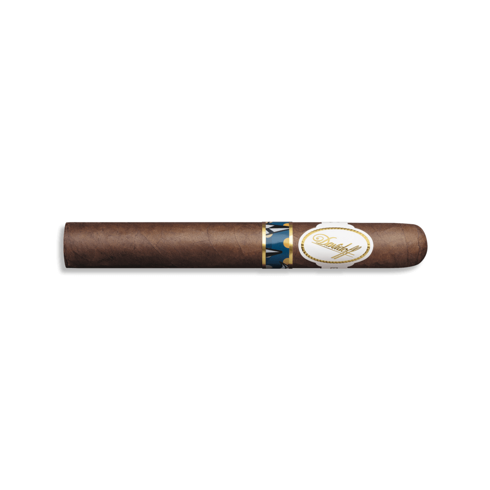 davidoff-boyarde-masterpiece-humidor-elementary-toro-cigar